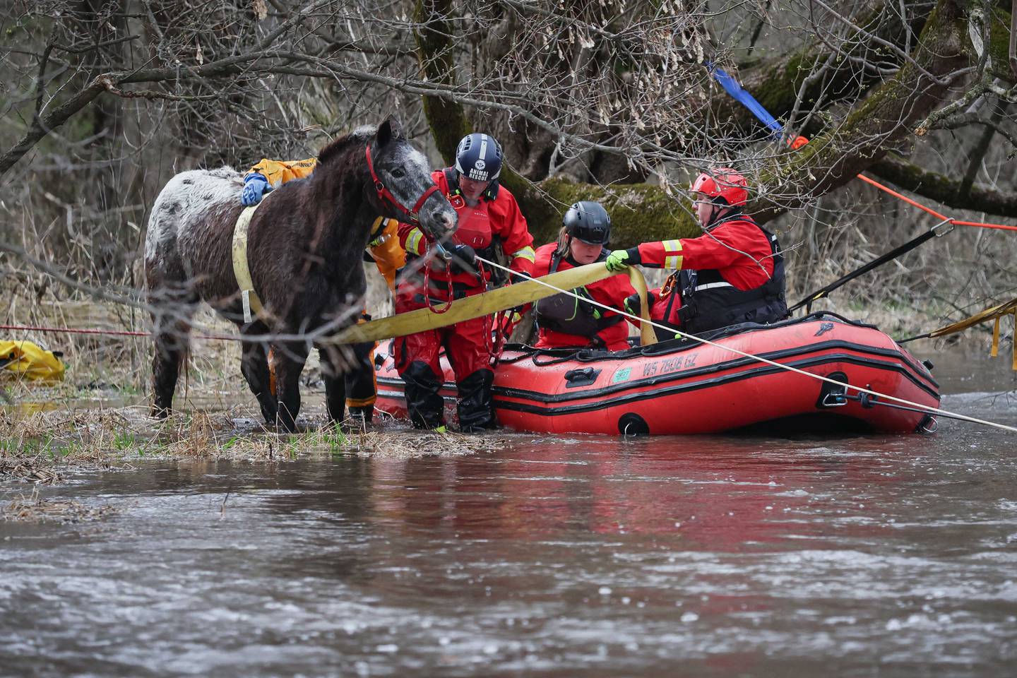 A horse was rescued near Marengo Saturday April 4, 2026.