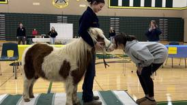 Grundy Area FFA celebrates FFA Week at Coal City High School
