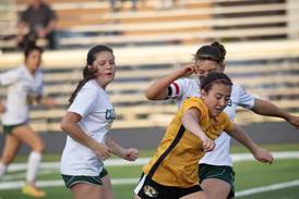 Herscher gets late goal to win ICE battle with Coal City