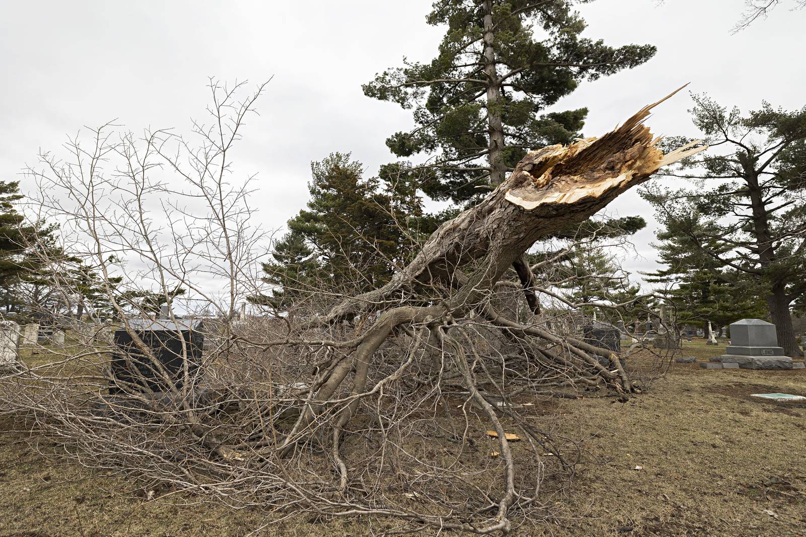 Photos Storm damage near Amboy Shaw Local