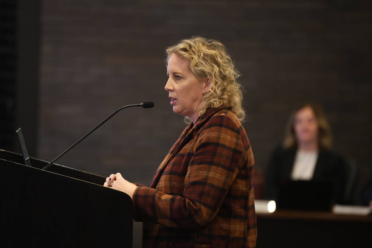 Ann Sylvester, Director of Cultural Affairs & Special Events presents a slide show on upcoming events and projects for the 2026 calendar year at the Joliet city council meeting on Tuesday, Jan 20, 2026 in Joliet.