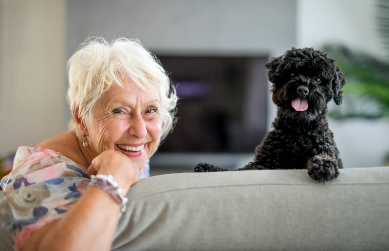 Cedar Lane Kennels - Three Ways Dogs Make Senior Years Even Better