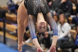 Gymnastics: Previewing teams from around the Kane County Chronicle area