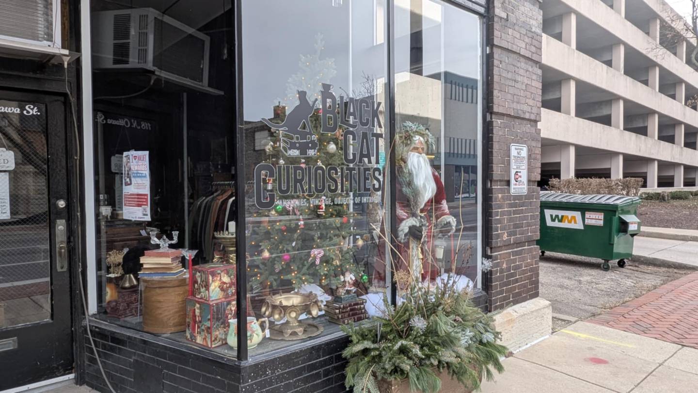 Black Cat Curiosities, the first place winner for the Joliet City Center Partnership's Holiday Window Decorating Contest, is seen Thursday, Dec. 19, 2024 at 118 N. Ottawa St. in Joliet.
