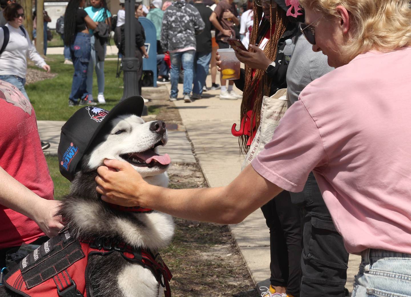 Mission III smiles as he gets some attention from Ronnie Gorka, a junior at Northern Illinois University from South Elgin, Wednesday, April 10, 2024, during Food Truck Wednesday at NIU. Food trucks, entertainment and games will all be available on campus from 11 a.m. to 2 p.m. on Food Truck Wednesdays.