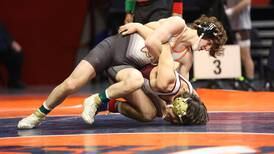 Wrestling: ‘It’s a dream’ Dominant St. Charles East sophomore Ben Davino wins state title