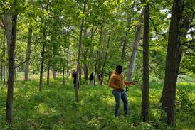 Moraine Hills State Park has rare woodland. Volunteers are needed to help protect it and other plants 