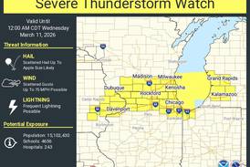 Severe thunderstorm warning for Will County and southern DuPage 