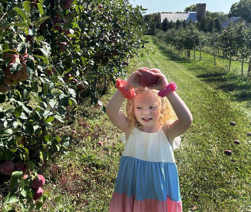 Remi Hawker, 4, of Byron, holds one of the apples she picked at BerryView Orchard, 7504 W. Midtown Road, Mt. Morris, on Saturday, Sept. 27, 2025 during the annual Back Roads Market. Remi was picking apples with her mom Meg, sister Frankie, and grandma Misty.