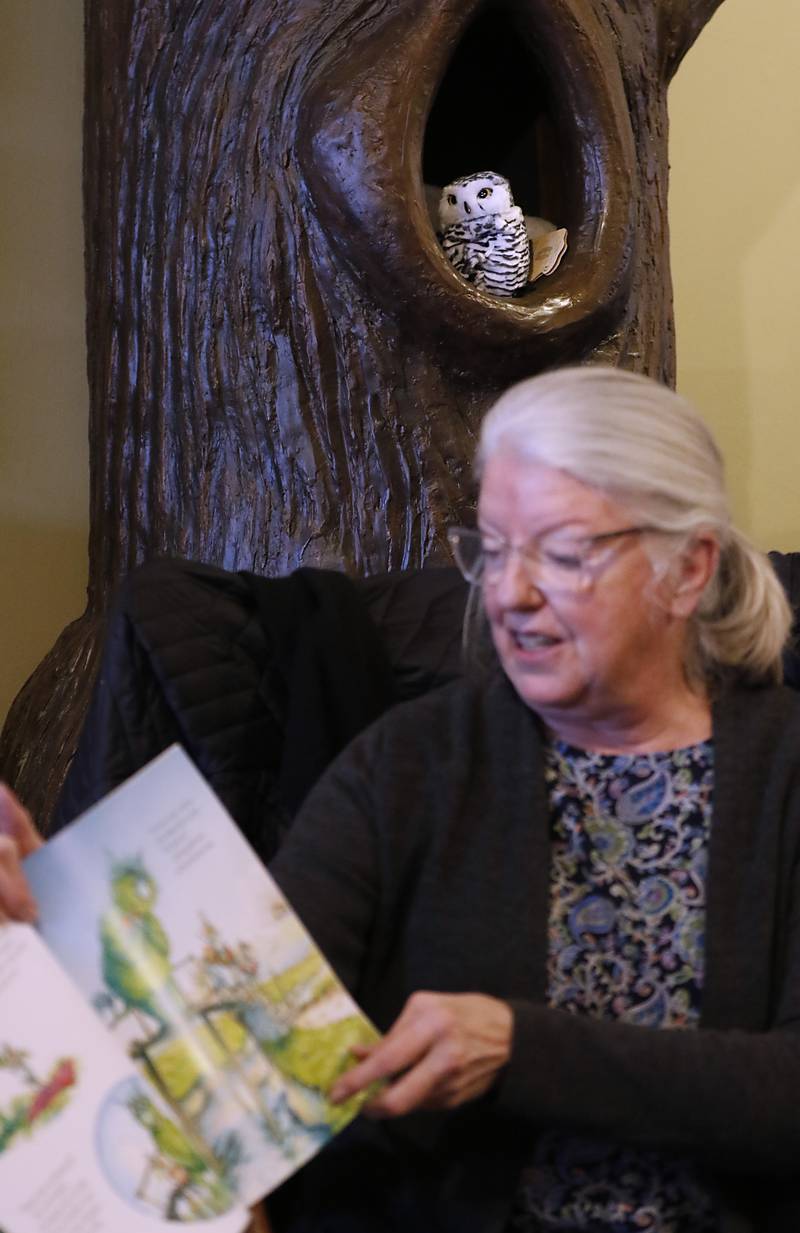A little stuffed-animal owl pears over Bette Chwalisz as reads a book Thursday, Feb, 20, 2025, at Read Between The Lynes in Woodstock during the bookshop's weekly story time.