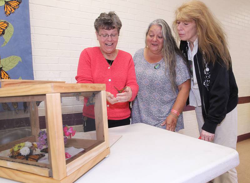 Pat Harrer, of Fox Lake shows a Monarch butterfly to Valerie Gallegos, of Round Lake, organizer, and Melanie Passaretti, of Palatine, that had emerged from a chrysalis in one of the butterfly houses she brought during the Live 4 Life’s 9th Annual Day of Hope at the Community Center on September 17th in Fox Lake. Pat Harrer brought the butterflies for people to watch in the butterfly houses to give them a sense of hope.
Photo by Candace H. Johnson for Shaw Local News Network