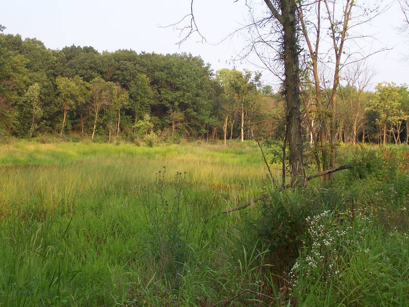 An undated photo of the Kyte River Bottoms Land and Water Reserve in Ogle County.