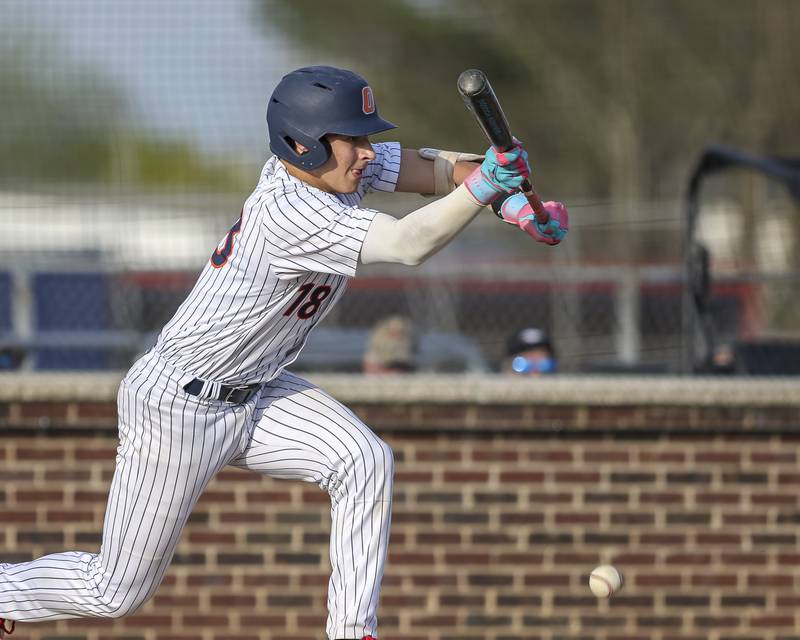 Oswego's Jeffrey Hernandez (18) bunts during baseball game between Plainfield North at Oswego, Thursday, April 24, 2025 in Oswego.