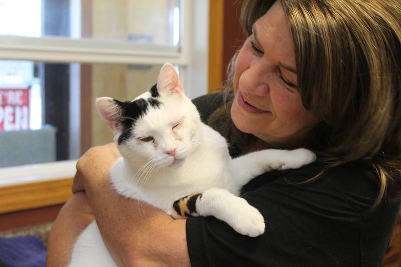Purrfect Cat Rescue owner Deb Parquette holds Rascal, one of the 40 cats rescued from a hoarding home.