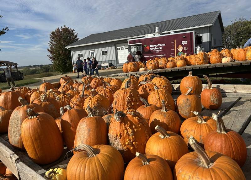 Visitors to BerryView Orchard, located between Mt. Morris and Forreston, carry apples and donuts from the main store during the Ogle County Farm Stroll on Sunday, Oct. 12, 2025.