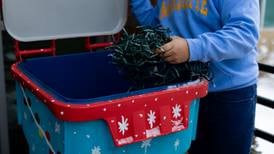 Glen Ellyn Park District collects 2,542 pounds of holiday lights