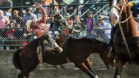 Will County Fair opens Wednesday in Peotone