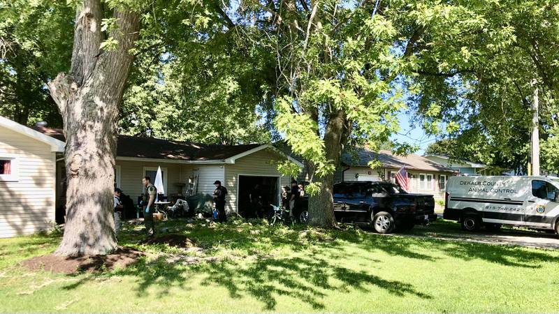 Illinois Department of Conservation Police, assisted by the DeKalb County Sheriff’s Office, DeKalb County Animal Control and Sandwich Police discovered and removed over 20 live wild animals while executing a search warrant at a home in the 1000 block of Spruce Street in Sandwich, IL at 10 a.m. Tuesday, Aug. 30 2022.