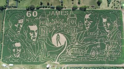 This year’s corn maze at Richardson Farm in Spring Grove celebrates 60 years of James Bond