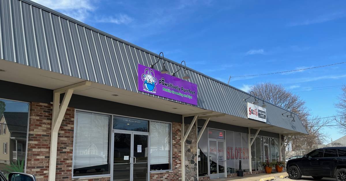 New dog salon opens in Peru – Shaw Local