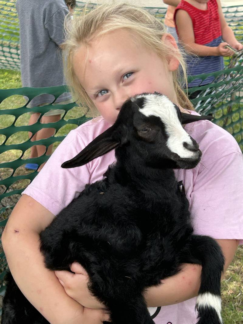 Aubree Colasuono, 6, of Rockford, gives a little goat a hug at Kriss' Funny Farm & Wedding Barn's petting zooe during German Valley Days on Saturday, July 20, 2024.