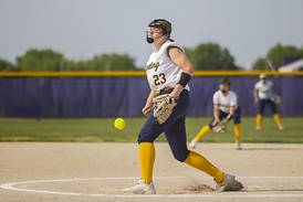 Softball: Stingley comes through to send Sterling to sectional final