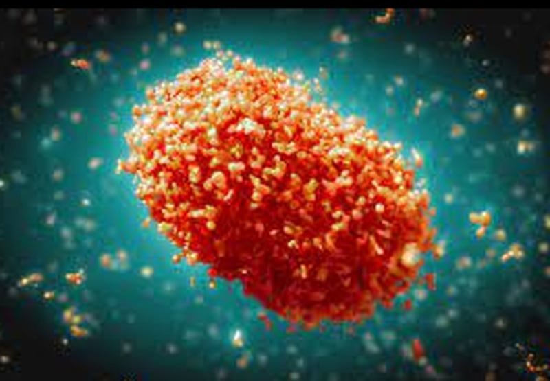 Monkeypox virus