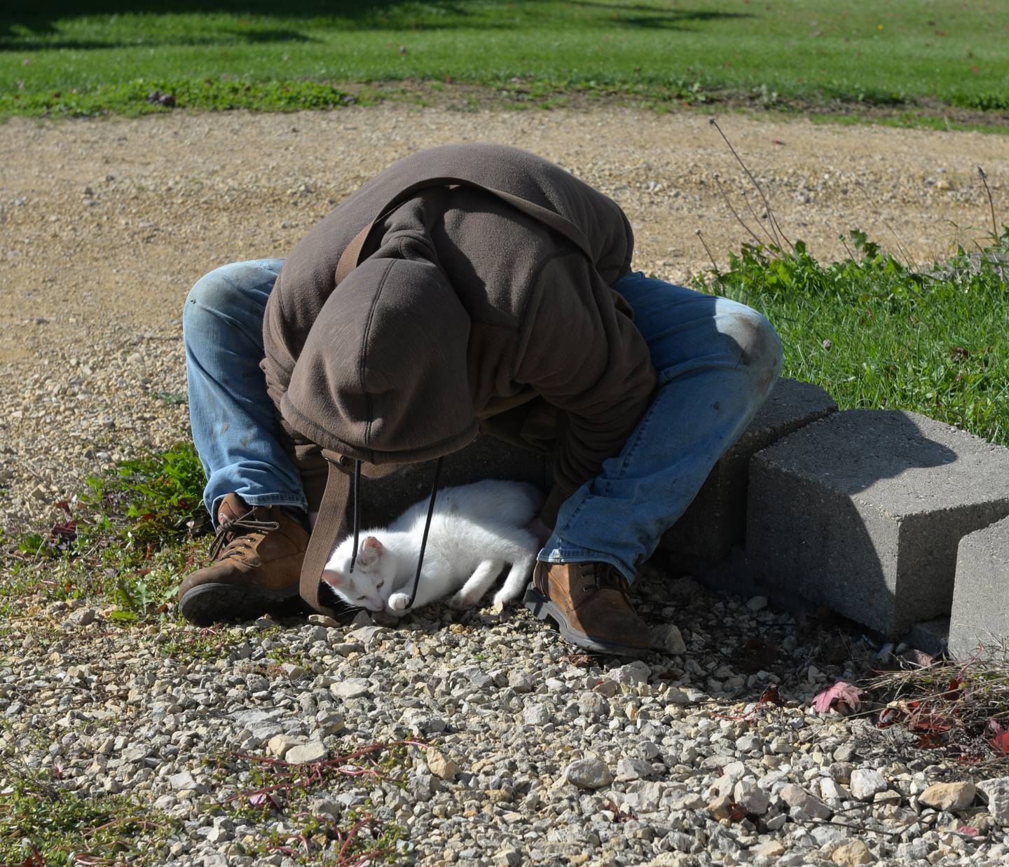 Alex Truckenbrod, 13, of Rochelle, lets "Skidmark" a cat at BerryView Orchard, play with his sweatshirt strings during the Ogle County Farm Stroll on Sunday, Oct. 15, 2023. The orchard was one of six stops on the stroll.