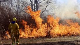 Dixon Park District’s prairie burn helps reset ecosystem