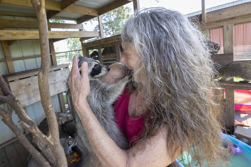 Jane Hochstatter cradles one of her rescues Thursday, June 26, 2025, at her Amboy home.