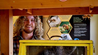 Wilmington resident named new beekeeper at Will County’s Plum Creek Nature Center