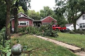 Storms lead to widespread power outages across northern Illinois