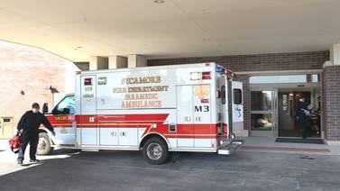 Flu cases rising in DeKalb County: What to know about this winter’s strain