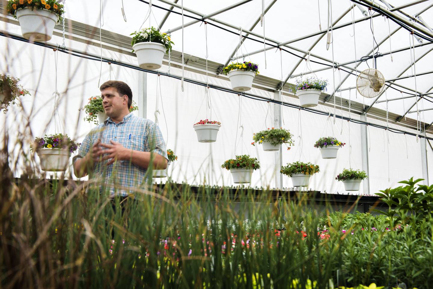 Tim talks about the support the community has shown the family and their greenhouse.