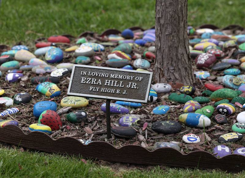 The tree and rock garden Monday, May 12, 2025, dedicated to the memory of Ezra Hill Jr. at Tyler Elementary School. Hill was murdered in 2019 in Harvey, and the Fifth Annual Ezra Hill Jr. Memorial Rock Painting event will be held on June 7 at the school in DeKalb.