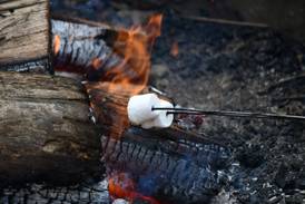 Courting love birds: Kendall County forest preserve offering Valentine’s Day stroll, campfire 