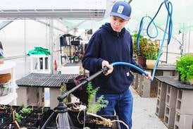 Lessons take root at Morrison High’s greenhouse