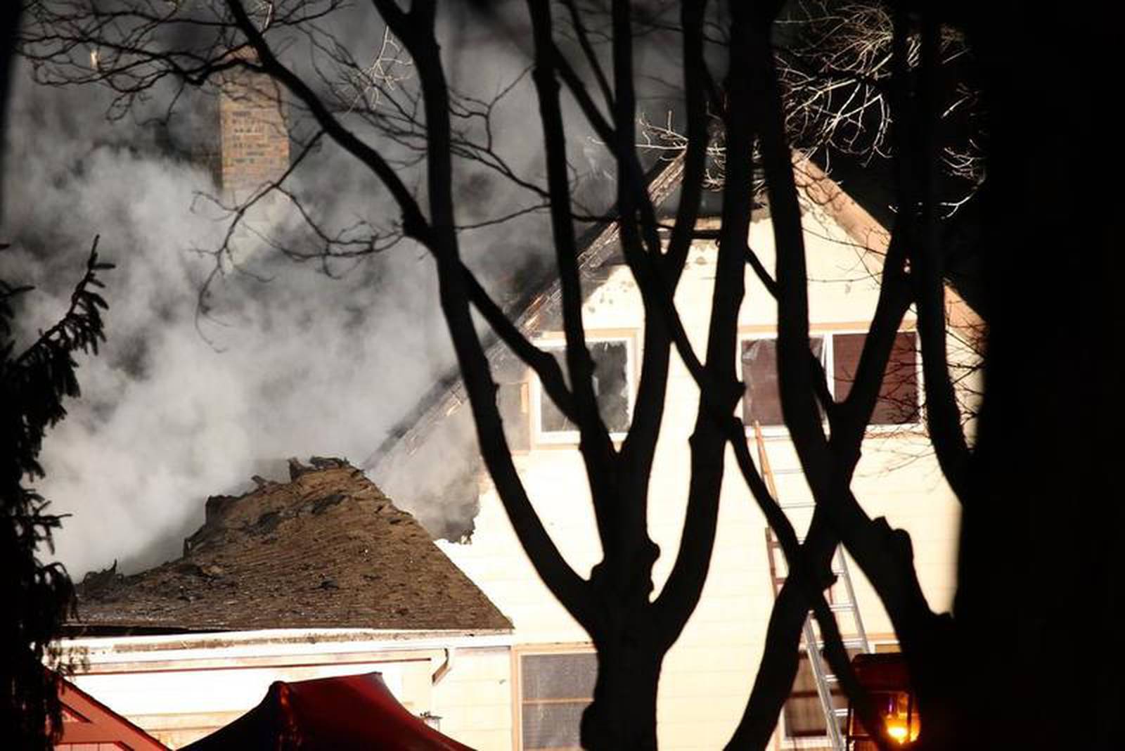 Algonquin house fire kills family dog Shaw Local