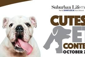 My Suburban Life October 2022 Cutest Pet Contest