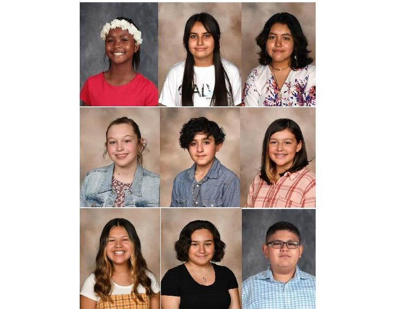 Nine junior high students who recently competed in the Joliet Public Schools District 86 Science, Technology, Engineering, and Mathematics (STEM) are qualified to participate in the Illinois Junior Academy of Science (IJAS) Regional Science Fair on March 19.