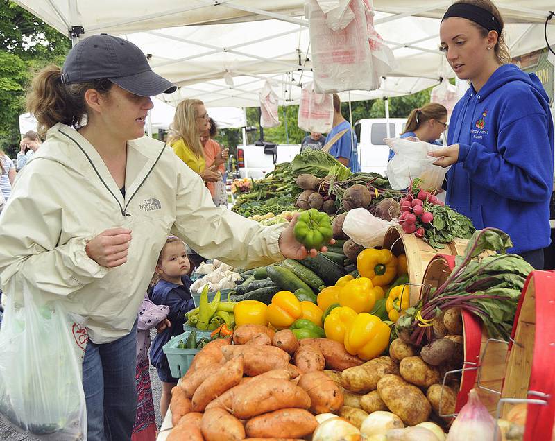 Janet Reiter and her daughters Mazie and Remi shop for vegetables at the 2016 Oswego Country Market.
