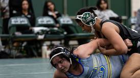 The Herald-News girls wrestling postseason preview