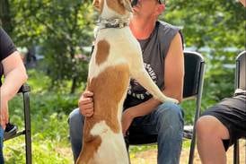 Thank You, Veterans: Dwight veteran finds healing in nature