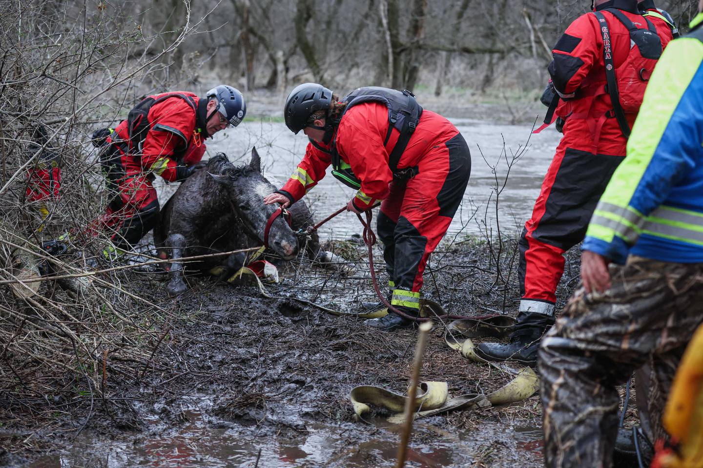 A horse was rescued from a flooded creek near Marengo Saturday, April 4, 2026.