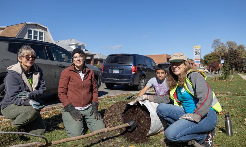 (Left to right) Cynthia Colvin, Anna Wagner, and Anne Willmore adding more trees to Berwyn, alongside The Berwyn Tree Canopy Initiative on Saturday, October 15, 2022. TBTC was awarded a Tree Planters grant from Open Lands non-profit and went to work right away.