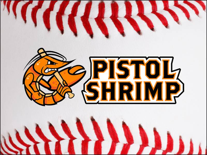 Pistol Shrimp