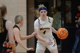 Amboy, Polo girls earn all-state honorable mention by IBCA