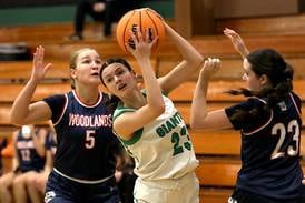 Photos: Alden-Hebron vs. Woodlands Academy girls basketball