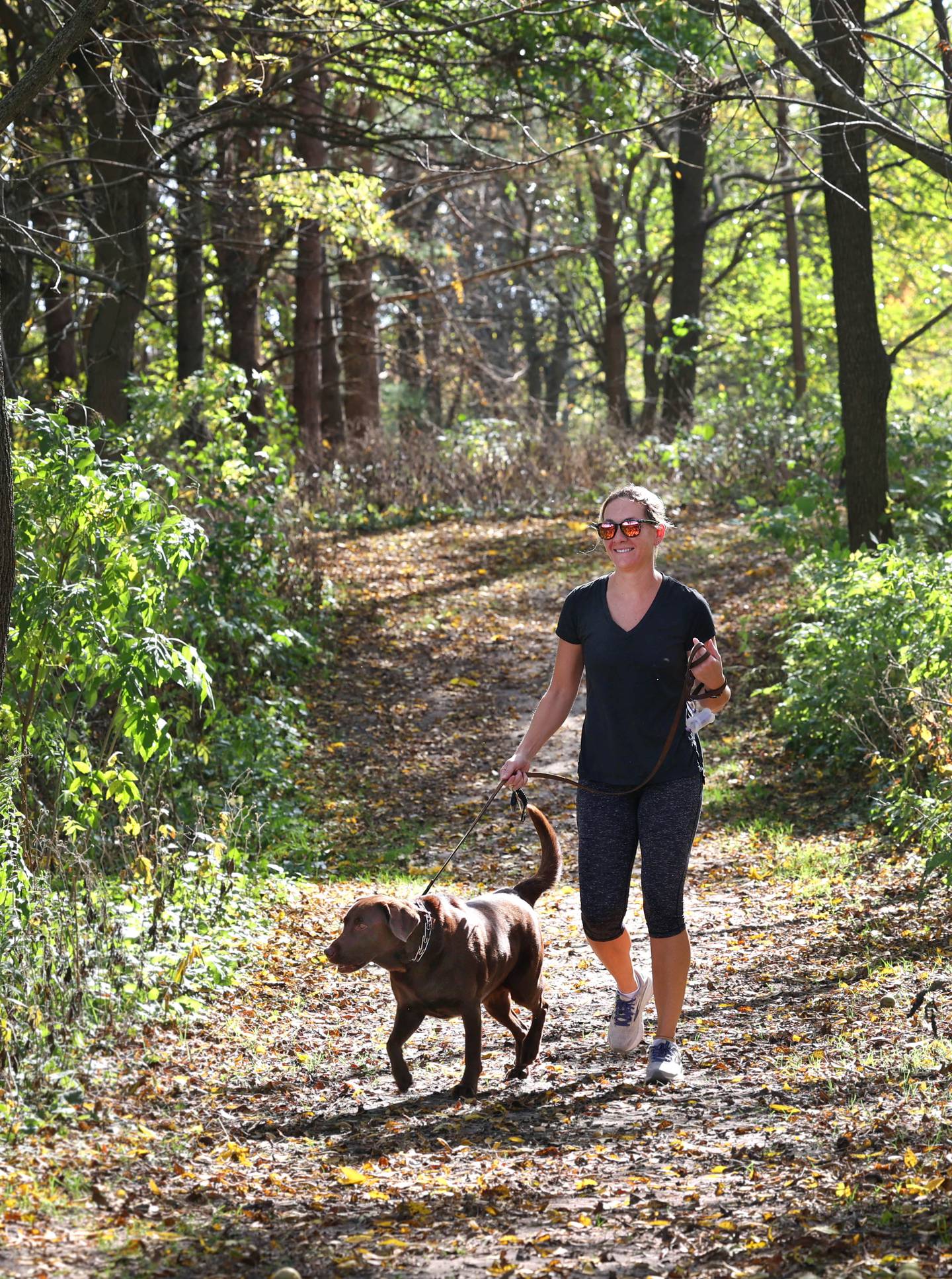 Anne Hannan and her chocolate lab Scout, from Sycamore, take a walk among the colorful trees Tuesday, Oct. 24, 2023, at Merritt Prairie Forest Preserve just south of DeKalb.