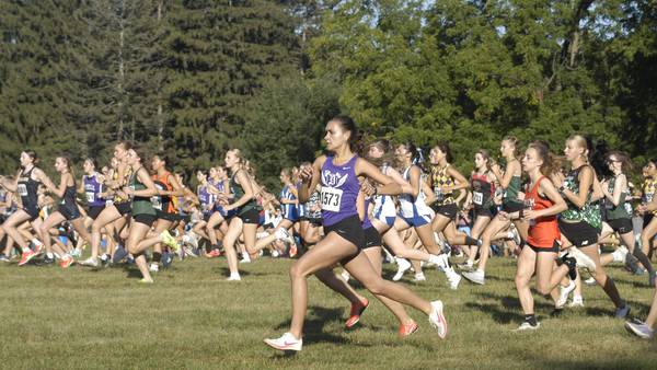 Sauk Valley Athlete of the Week: Dixon’s Daniela Lovett